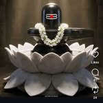 naina_koli_26 profile picture