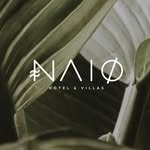 naiopalomino_ profile picture