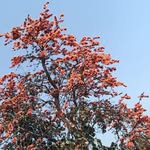 naj22775 profile picture