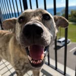 nala.marilyn profile picture