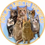 nala.meetsworld profile picture