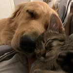 nallyandgordon profile picture