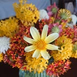 nami_full_of_flowers profile picture