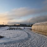 namiki_farm profile picture