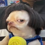 nammon.q profile picture