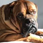 nana__george profile picture