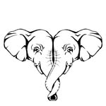 nandanieofficial profile picture
