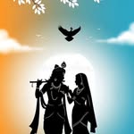 nandapkishore profile picture