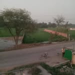 nandkisoherji profile picture