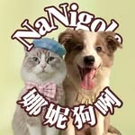 nani.sisters_ profile picture