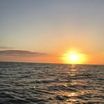 naplesfloridahomes profile picture