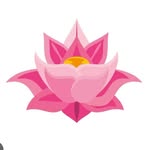 narcisismomaterno.brasil profile picture