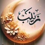 naremanmouna profile picture