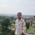 narendra_meena199 profile picture