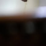 nasaralius_ profile picture