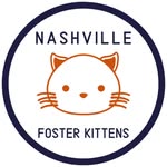 nashfosterkittens profile picture