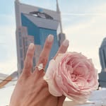 nashvilleproposalco profile picture