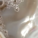 nataliamantini profile picture