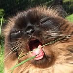 natalish.awty profile picture