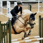natalyawrightequestrian profile picture