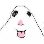 natalyolo profile picture