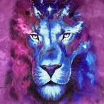 natemercereau profile picture