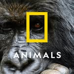 natgeoanimals
