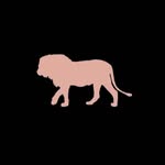 nathyelledantas profile picture