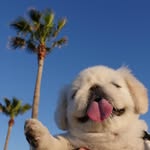 nattsxx profile picture