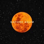 nature.adam profile picture