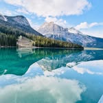 nature.zenscapes profile picture