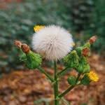 natureframes.ht profile picture