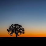 naturegram_99 profile picture