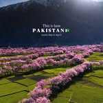nature_lens_by_zara profile picture