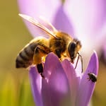 naturephotography.by.iwona profile picture