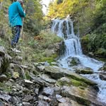 nature_photographym.s profile picture