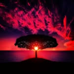nature_pragya4444 profile picture