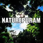 naturepuram profile picture
