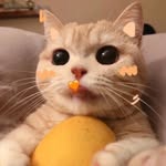 naughtyfatmeow profile picture