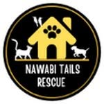 nawabitailsrescue profile picture