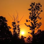 nawaz_khan_89379 profile picture