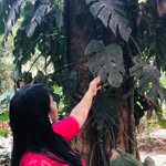 nayanachuvi profile picture