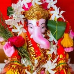 nayana_joshi_03 profile picture