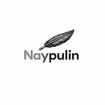 naypulin profile picture