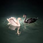 nazar__120 profile picture