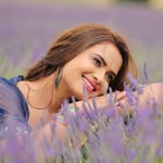 neelamgiri_