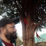negisonu1451 profile picture