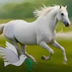 nehal55591 profile picture