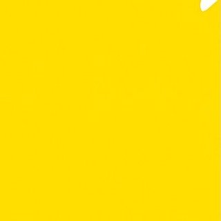 nehuensponton profile picture