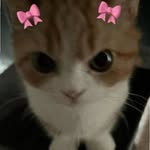 neilfun30 profile picture